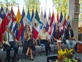 V Informe FLACSO 
